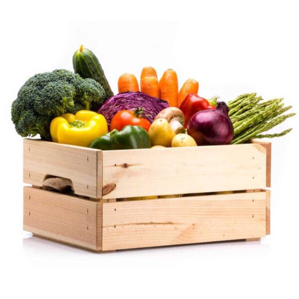 All Veggie Box-Medium