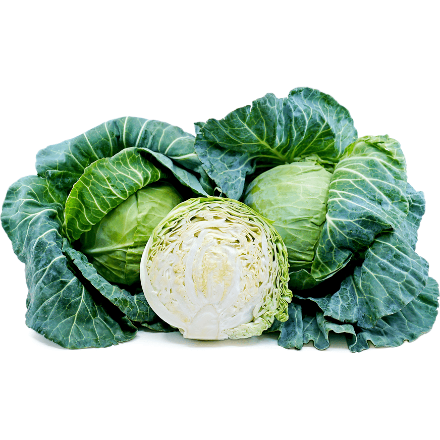 Cabbage Green