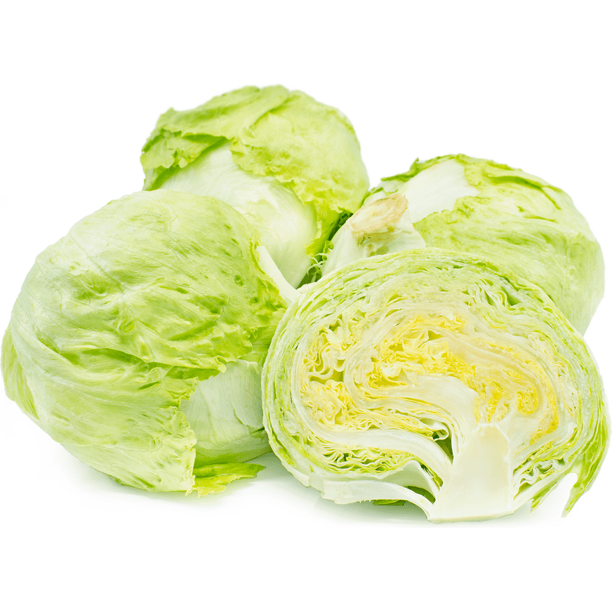 Lettuce, Iceberg