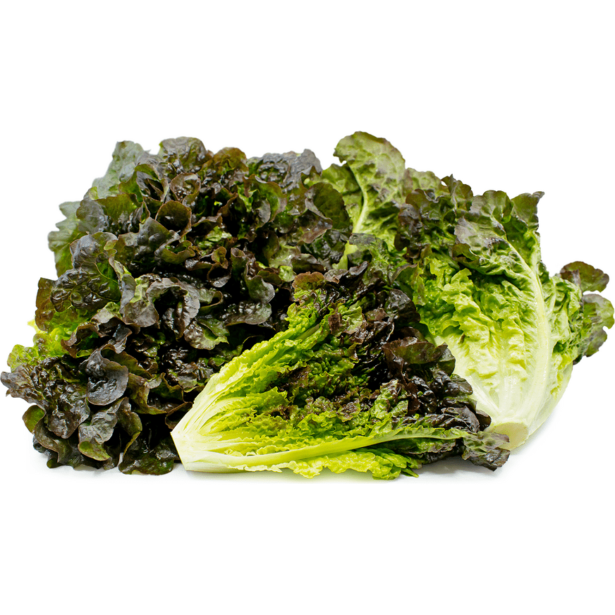 Lettuce, Red Leaf