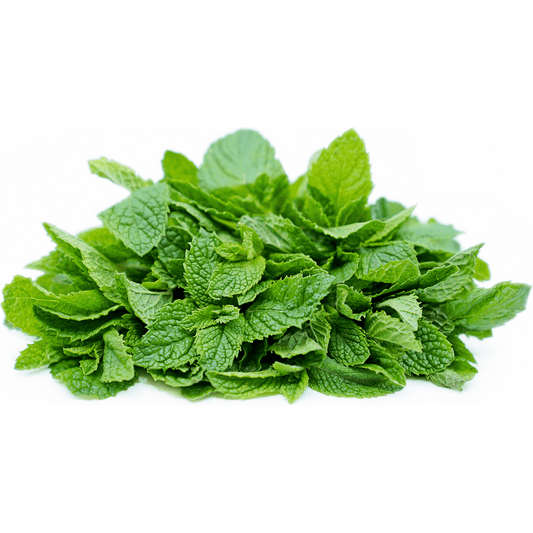 Herbs, Mint