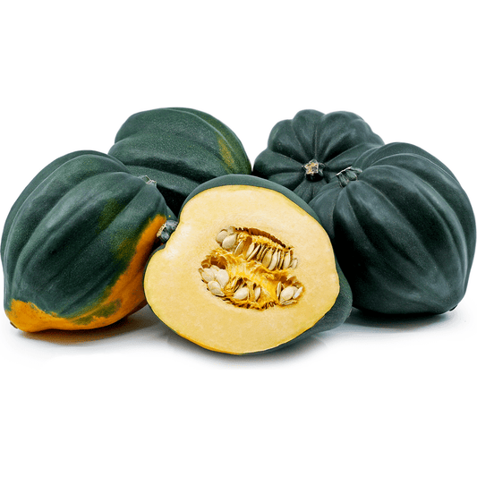Squash, Acorn